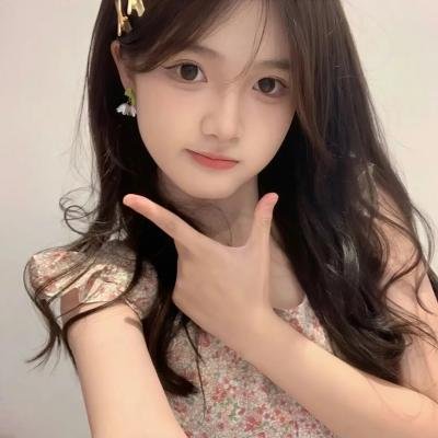 哈莱姆的郁金香